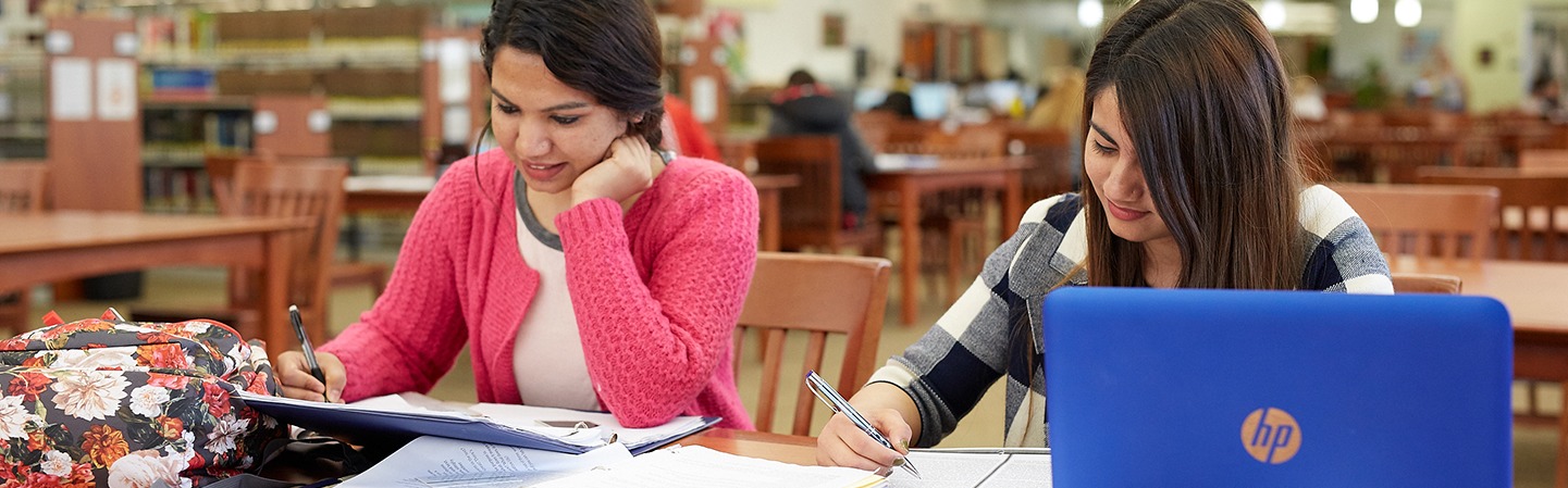 2 students studying in library