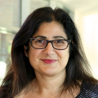 Anoosheh Borhan
