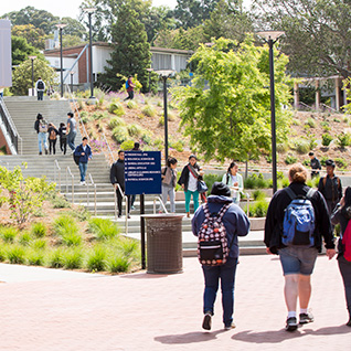 Students Walking on Campus