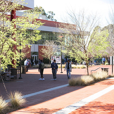 Contra Costa College students.