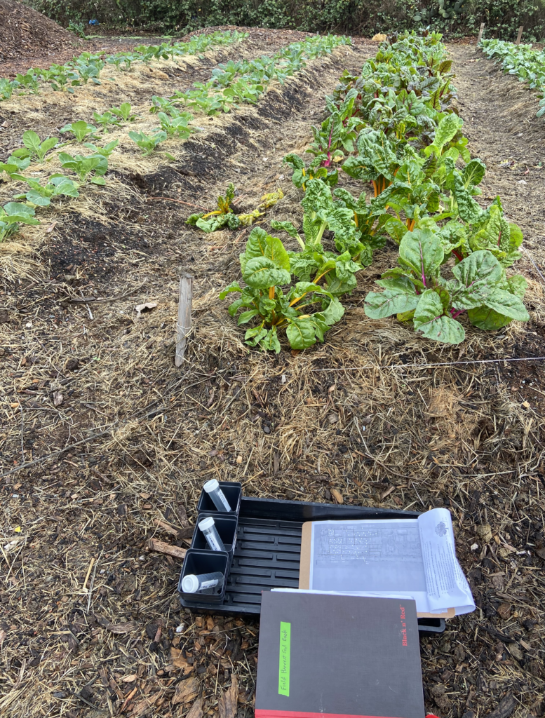 Picture of farm with rows of plants. lab book, clipboard and tubes and tray in the foreground. Pile with straw on top in the back left.