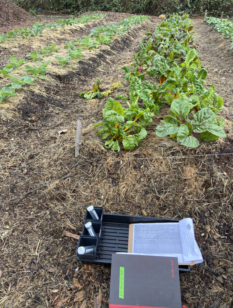 Picture of farm with rows of plants. lab book, clipboard and tubes and tray in the foreground.  Pile with straw on top in the back left.  